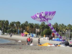 2024 11 02 EN FLANANT SUR SANARY (105)